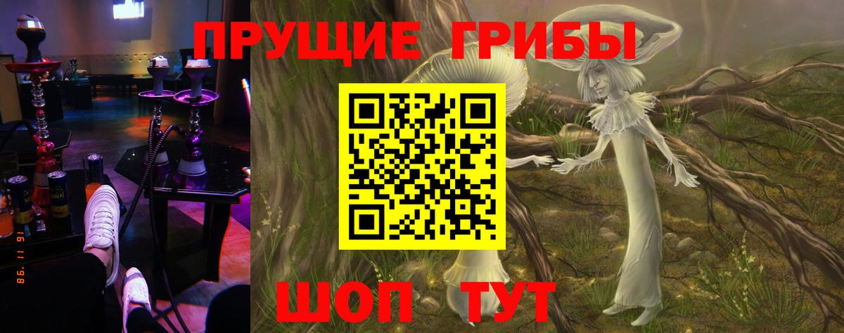 Луга  Псилоцибиновые грибы Cubensis  сколько стоит  Вход с VPN 